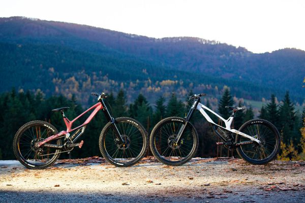 Antidote Darkmatter 2022