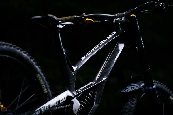 Antidote Darkmatter 2022