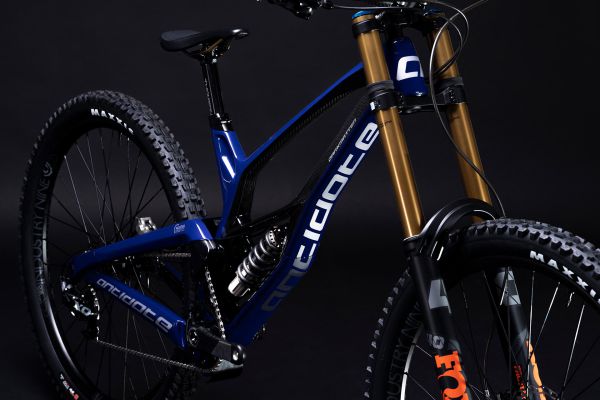 Antidote Darkmatter 2022