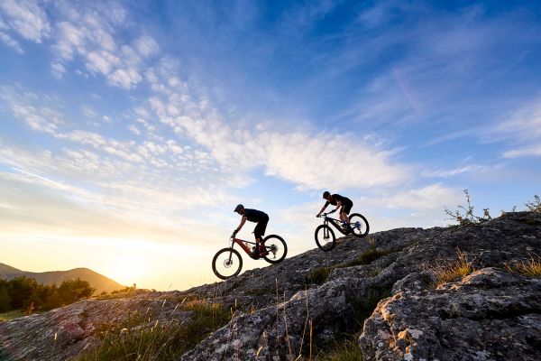 Giant Trance X E+ Pro 2