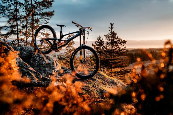 Antidote Darkmatter 2022