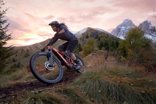 Giant Trance X E+ Pro 2