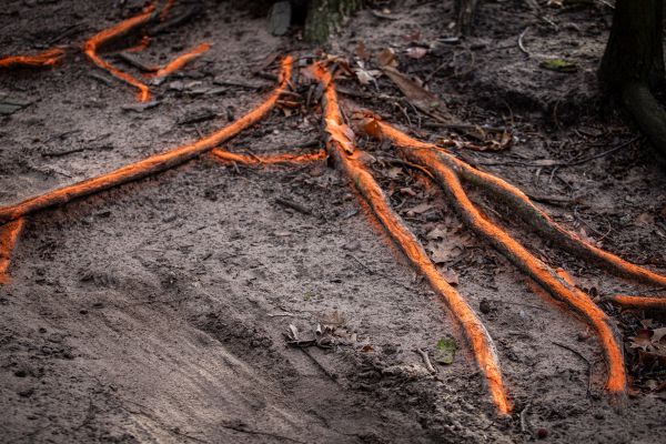 MČR 2022 - Kolín trénink - tak s tratí si dal někdo hodně práce