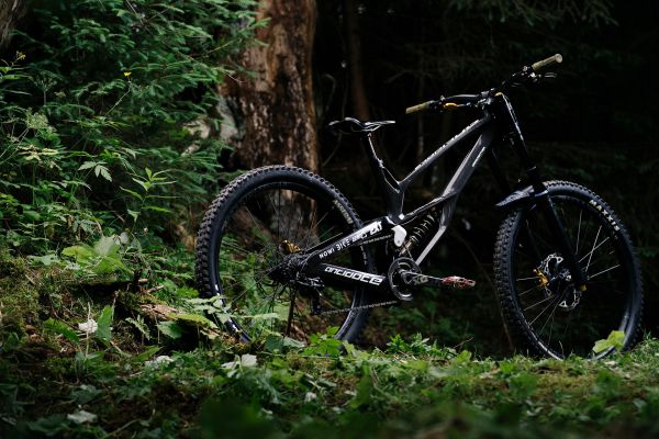 Antidote Darkmatter 2022