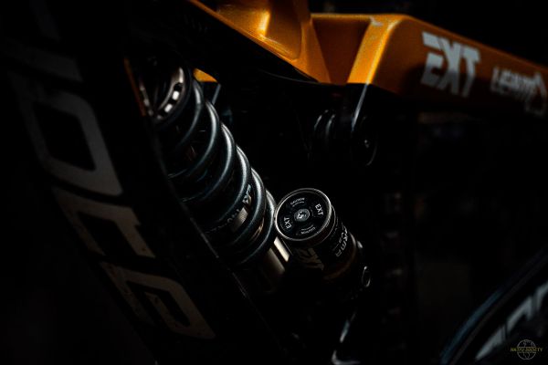 Antidote Darkmatter 2022