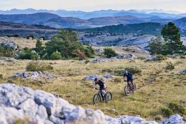 Giant Trance X E+ Pro 2