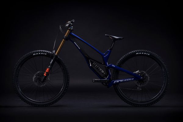 Antidote Darkmatter 2022