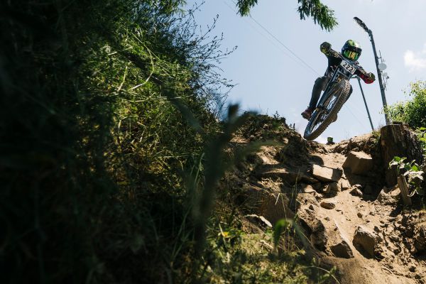 Antidote Darkmatter 2022