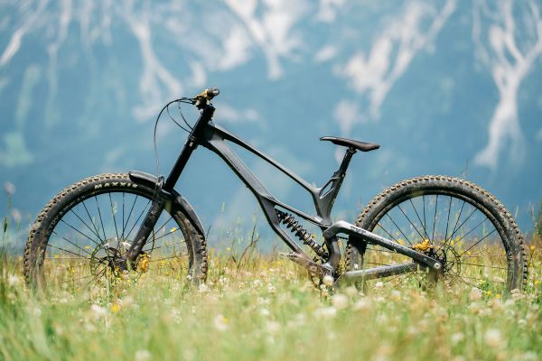 Antidote Darkmatter 2022