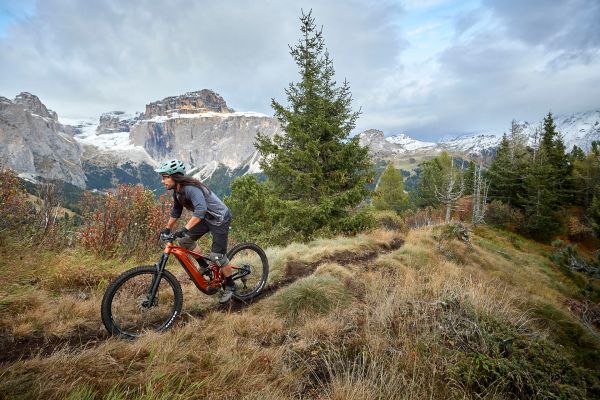 Giant Trance X E+ Pro 2