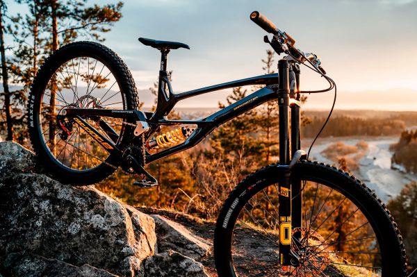 Antidote Darkmatter 2022