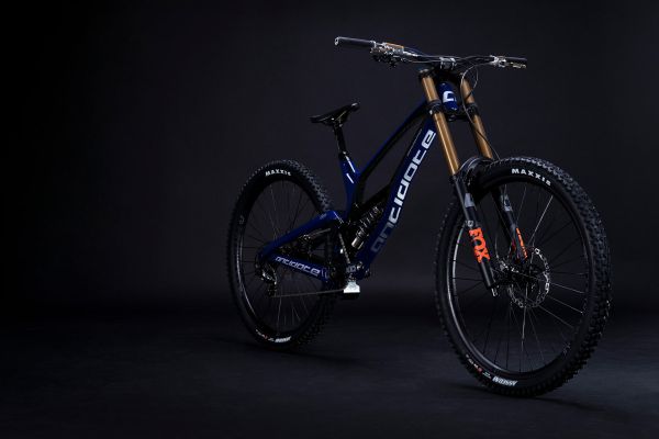 Antidote Darkmatter 2022