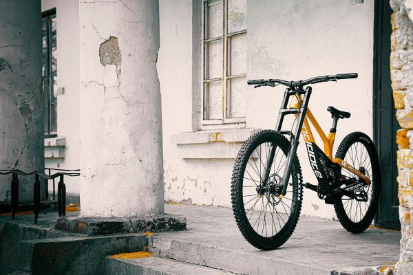 Antidote Darkmatter 2022