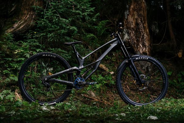 Antidote Darkmatter 2022