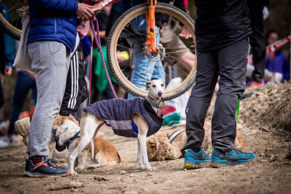 Supercup Banyoles 2022