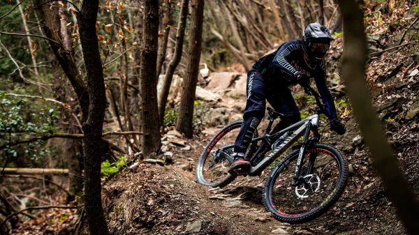 Canyon Strive CFR 2022