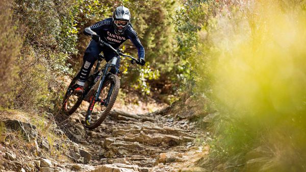 Canyon Strive CFR 2022