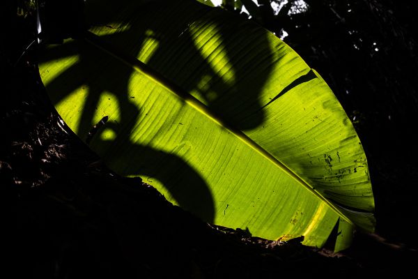 Světový pohár XC #1 - Petropolis