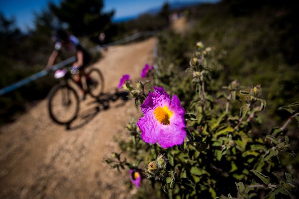 Capoliveri Legend XCO - Elba 2022