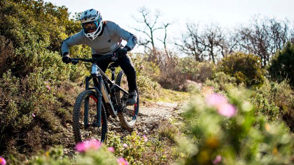 Canyon Strive CFR 2022