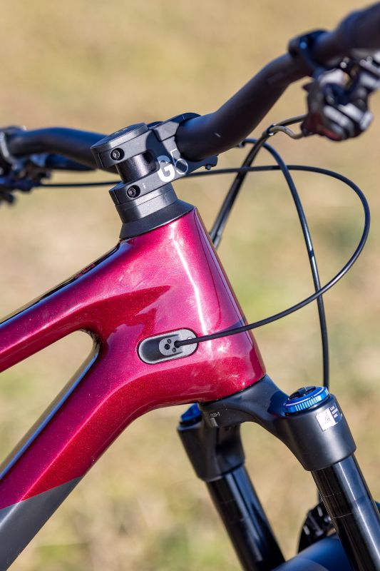 Canyon Spectral 125 CF 8