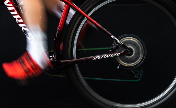 Oprašování pevňáka