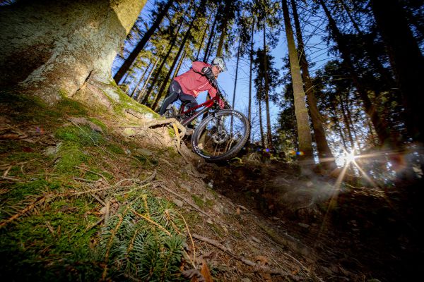 Canyon Spectral 125 CF 8