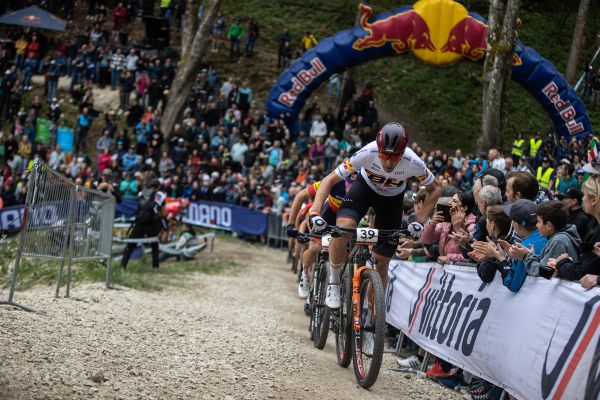 David Vallero Serano