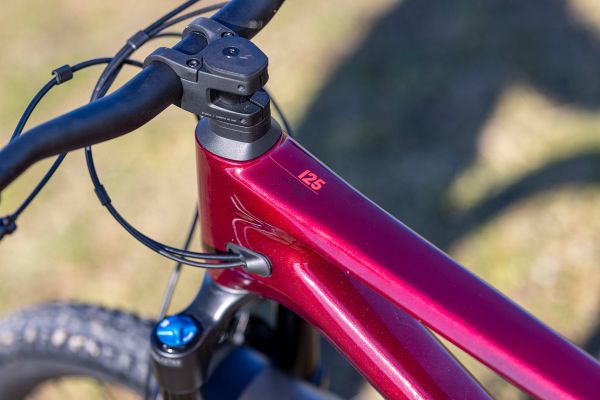 Canyon Spectral 125 CF 8