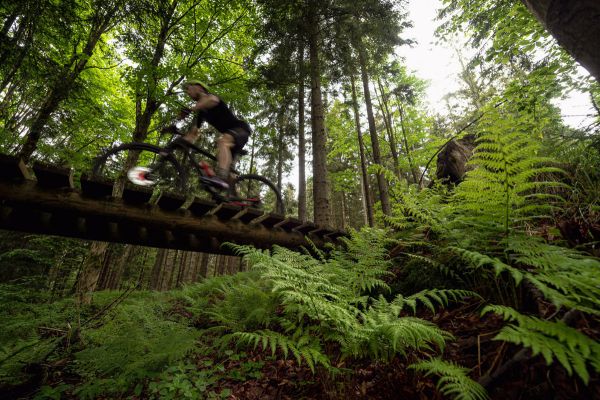 Mistrovství ČR XCM 2022 - Dolní Morava