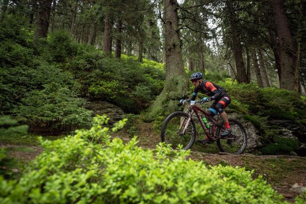 Mistrovství ČR XCM 2022 - Dolní Morava