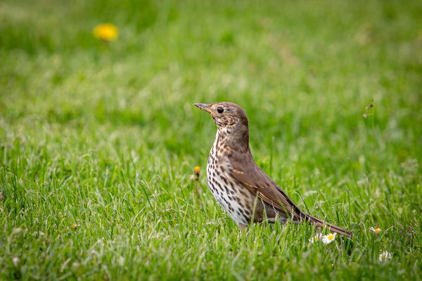 Bikecheck: Kross Earth Ondřeje Cinka