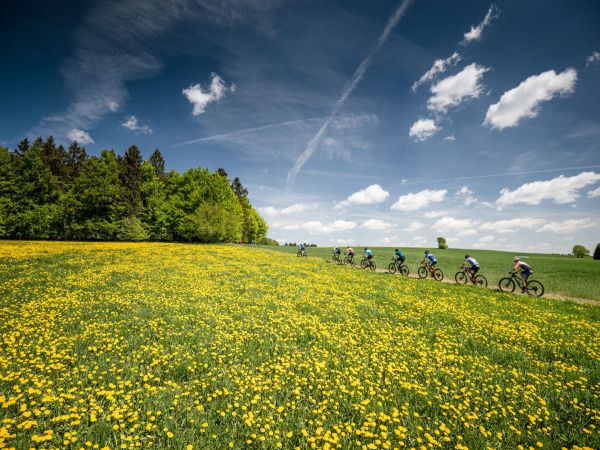 Světový pohár - Nové Město 2022 - maraton a Night Race