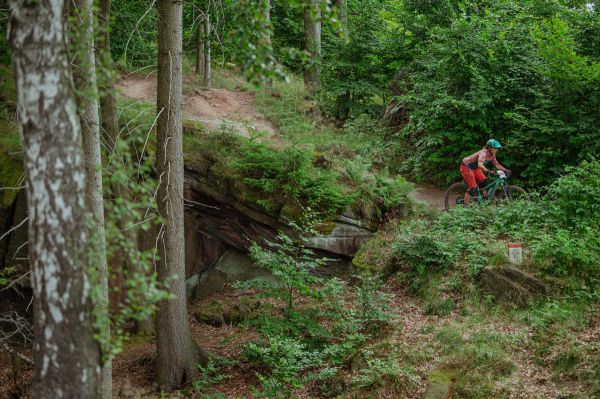 Kupkolo MTB Trilogy 2022