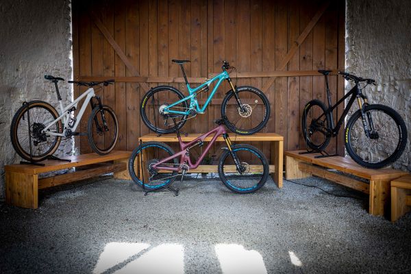 Prezentace 2023 Zookee & Vokolek Import