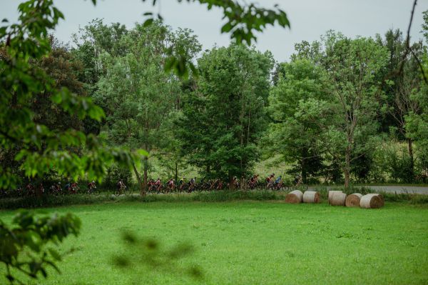 Kupkolo MTB Trilogy 2022