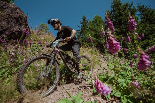 Kupkolo MTB Trilogy 2022