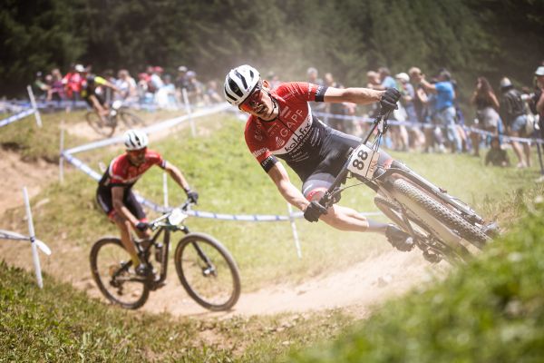 Janové Vastl se Škarnitzlem