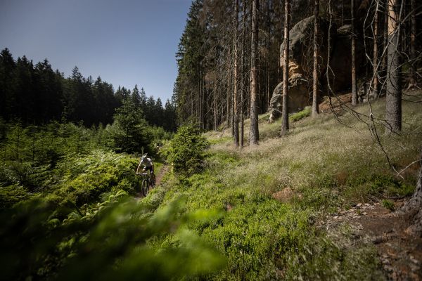 Mistrovství Evropy v maratonu - Malevil Cup 2022