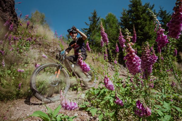 Kupkolo MTB Trilogy 2022