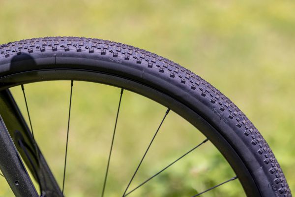 Giant Revolt Advanced 1