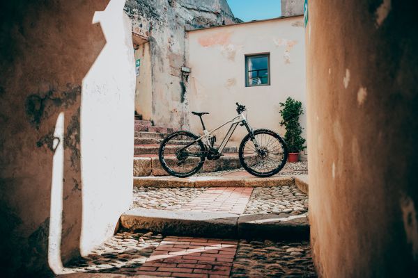 Bosch CX Performance Race Limited Edition