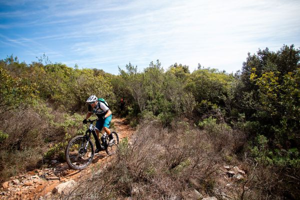 Bosch CX Performance Race Limited Edition