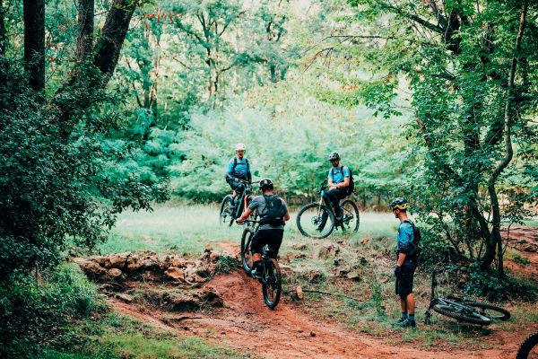 Bosch CX Performance Race Limited Edition