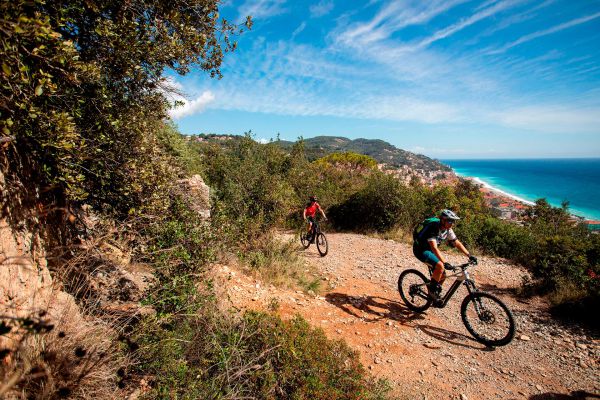 Bosch CX Performance Race Limited Edition