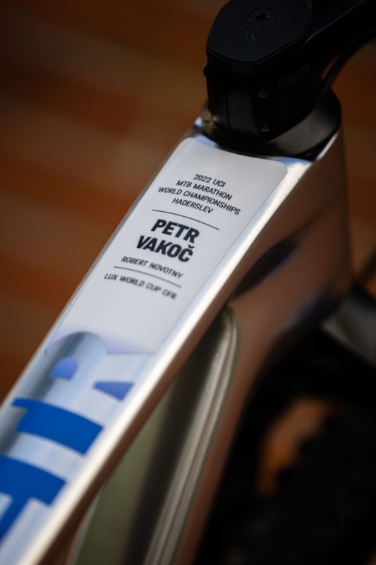 Mistrovství světa v maratonu - Haderslev 2022