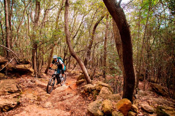 Bosch CX Performance Race Limited Edition