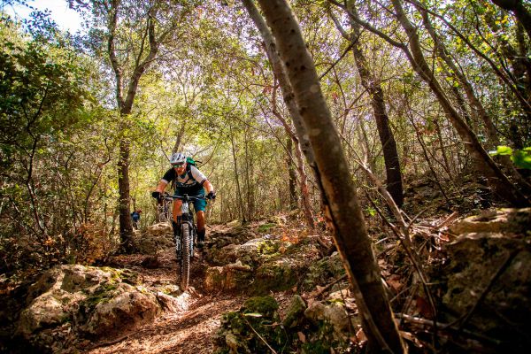 Bosch CX Performance Race Limited Edition