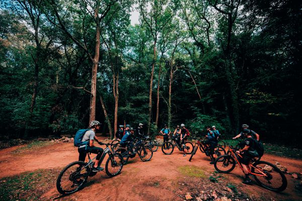 Bosch CX Performance Race Limited Edition