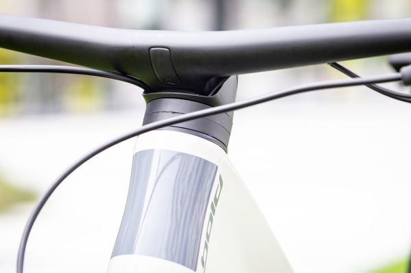 Bold Linkin 135 Ultimate